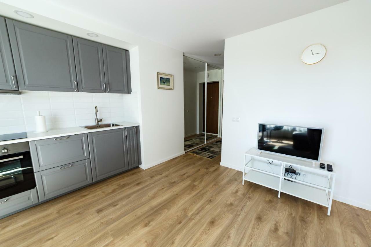 Spacious Apartment Close To The Old Town Vilnius Exterior photo